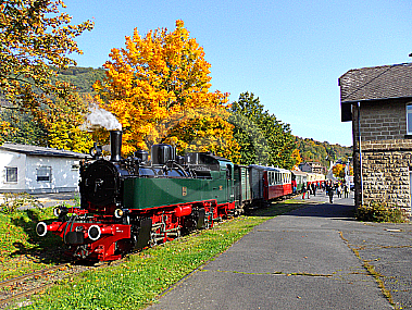 11sm im Herbst in Niederzissen